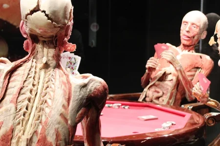 BODY WORLDS Amsterdam Open ticket