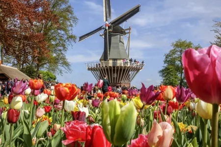 Keukenhof bus tour from Amsterdam