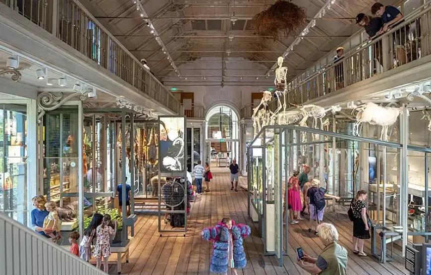 ARTIS-Groote Museum – Asking the big questions