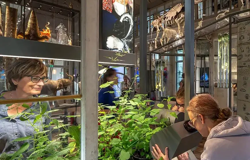 ARTIS-Groote Museum – Asking the big questions