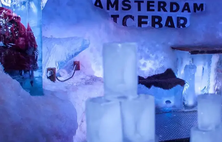 Amsterdam Icebar + Amsterdam Nightlife 1 day