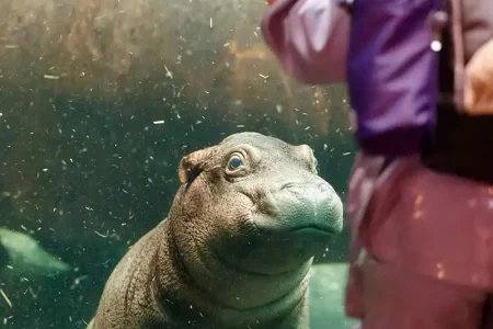 Copenhagen ZOO