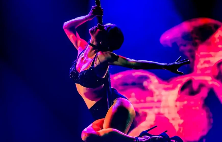 VEGAS Dazzling Variety Dinner Show