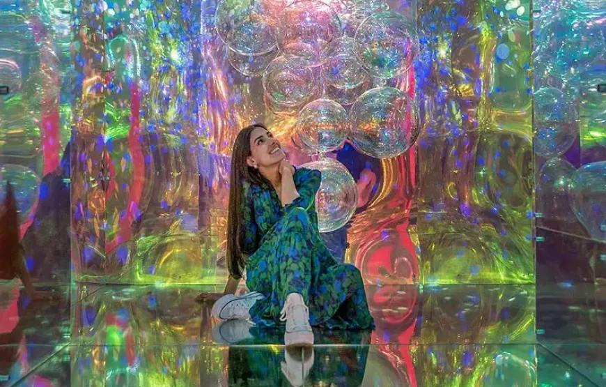 Moco Museum: Banksy and More