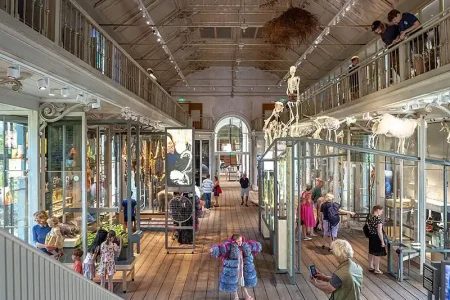 ARTIS-Groote Museum – Asking the big questions