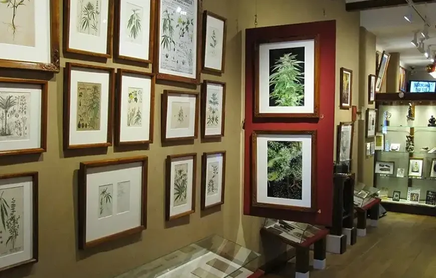 Hash Marihuana & Hemp Museum