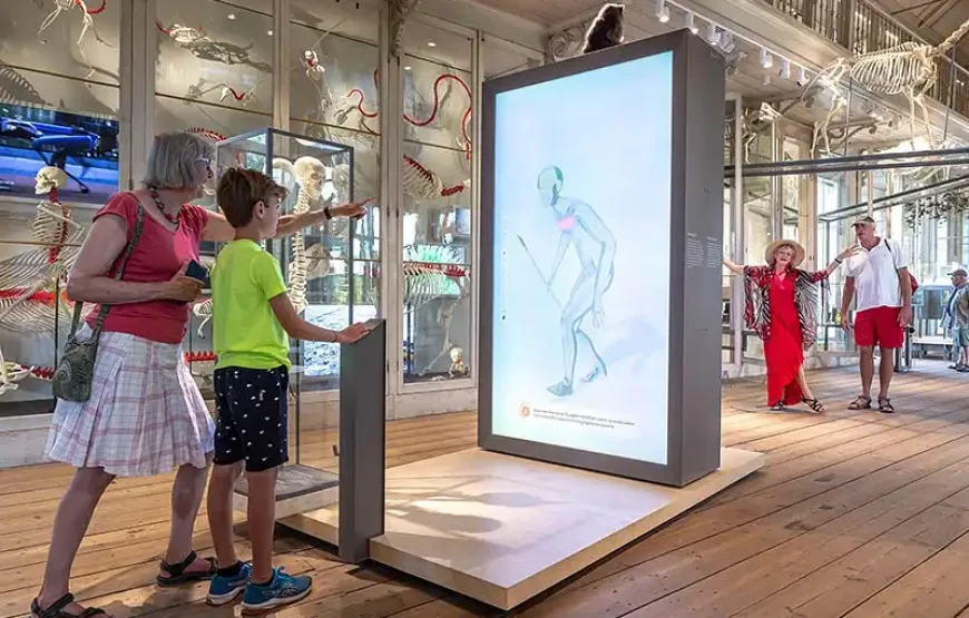 ARTIS Royal Zoo + Groote Museum