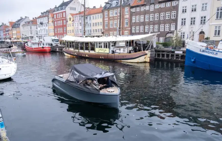 RED Sightseeing bus 24h + 1-hour GoBoat Guided Harbor Boat Tour