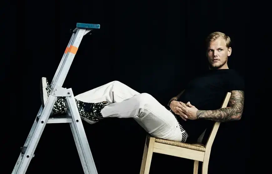 Avicii Experience