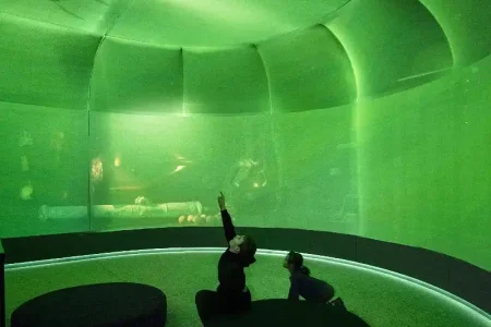 RED Sightseeing Stockholm Hop-on Hop-off bus + Vasa Museum + Vrak – Museum of Wrecks