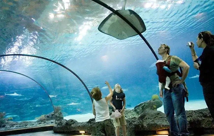 Rotterdam Zoo Diergaarde Blijdorp