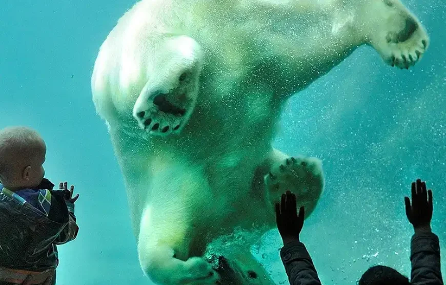 Rotterdam Zoo Diergaarde Blijdorp