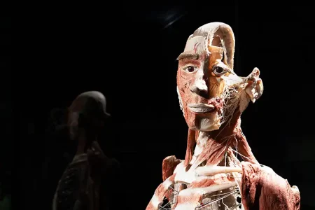 Body Worlds