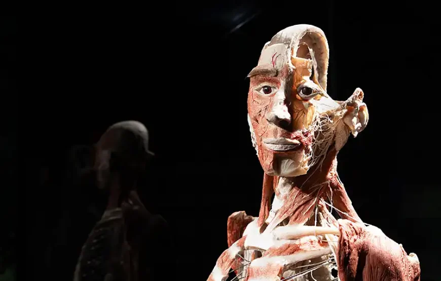BODY WORLDS Amsterdam Timeslotted ticket