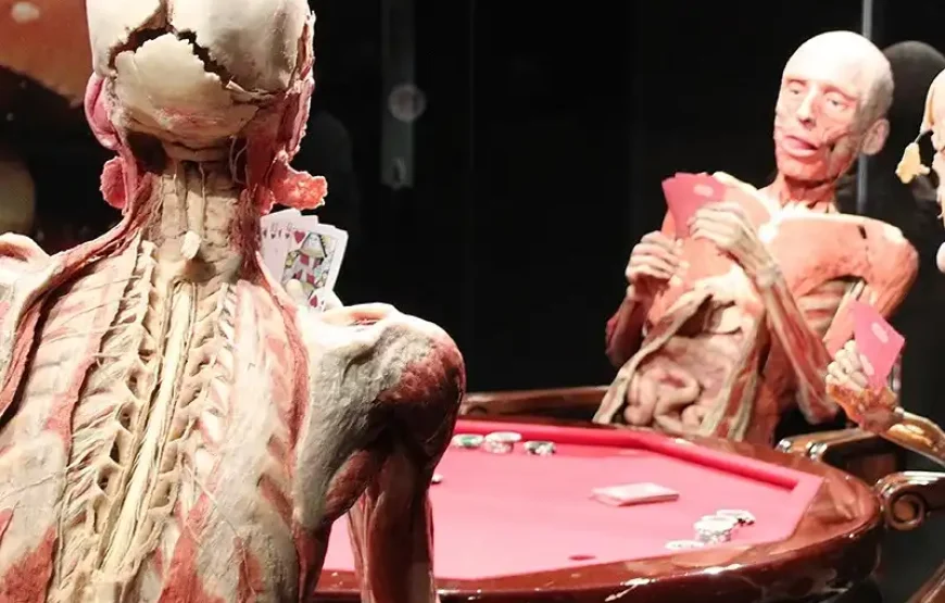 BODY WORLDS + Amsterdam Canal Cruise
