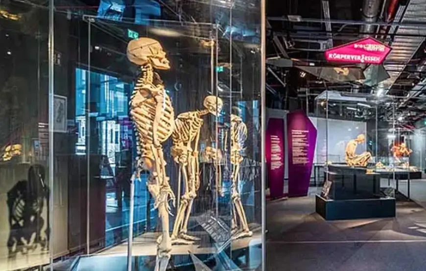 KÖRPERWELTEN – BODY WORLDS Berlin Bodyworlds Weekday