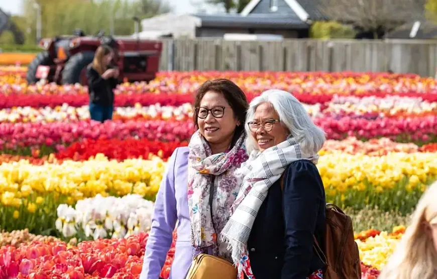 From Amsterdam: Keukenhof Gardens & Tulip Experience Tour