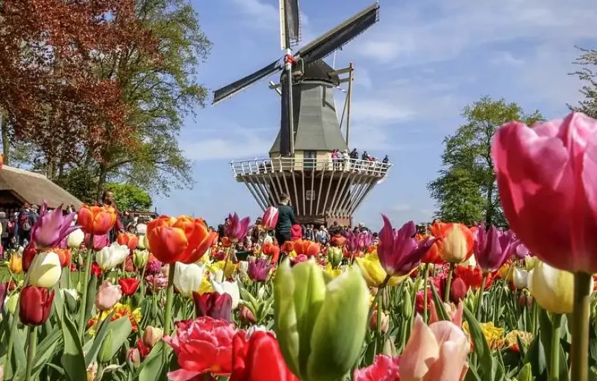 Keukenhof bus tour from Amsterdam With audio guide & Amsterdam canal cruise