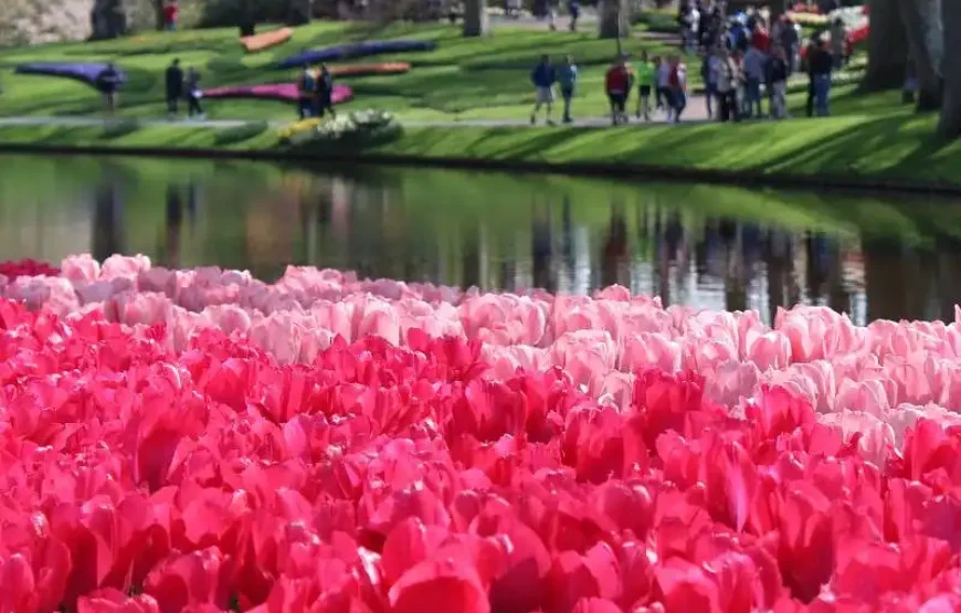 Keukenhof – Amsterdam bus transfer