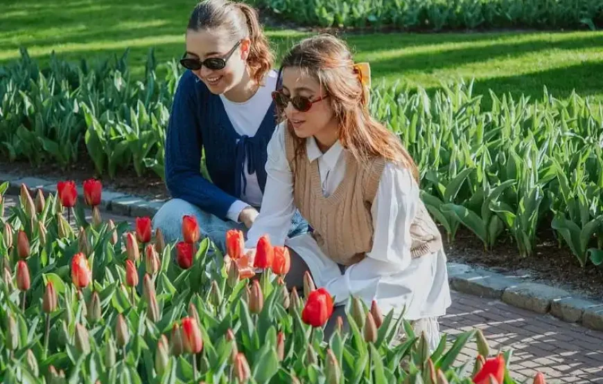 Keukenhof + Countryside and Windmills tour