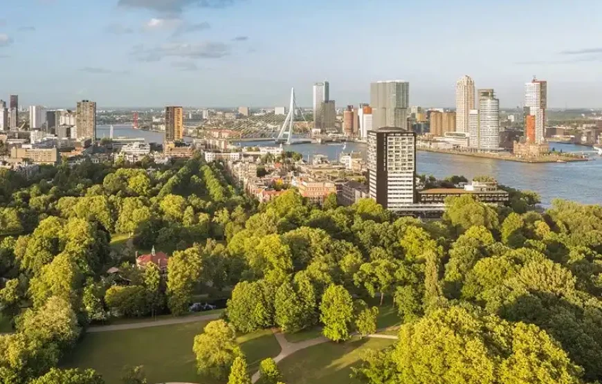 Euromast + River Cruise Rotterdam