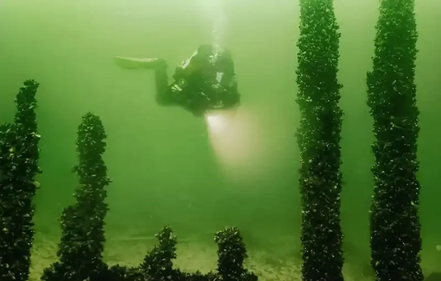 Vasa Museum + Vrak – Museum of Wrecks