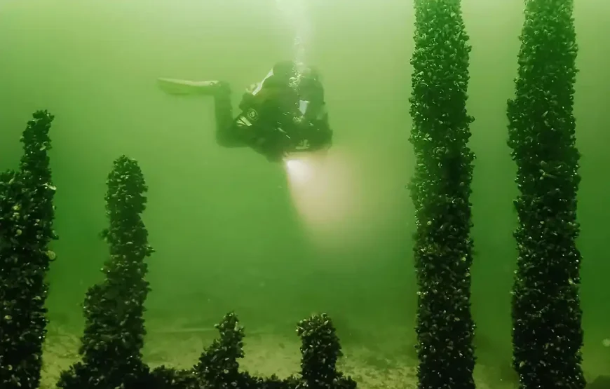 Vasa Museum + Vrak – Museum of Wrecks