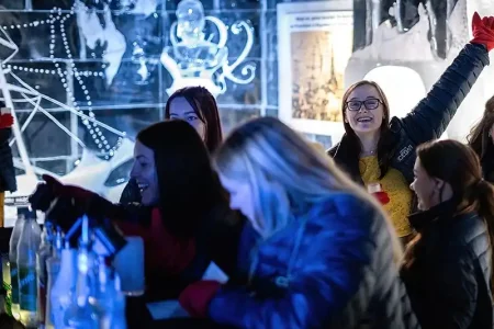 Berlin Icebar Polar Expedition Open ticket