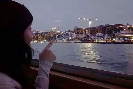 RED Sightseeing Stockholm bus + Winter Waterways Tour 72 hours