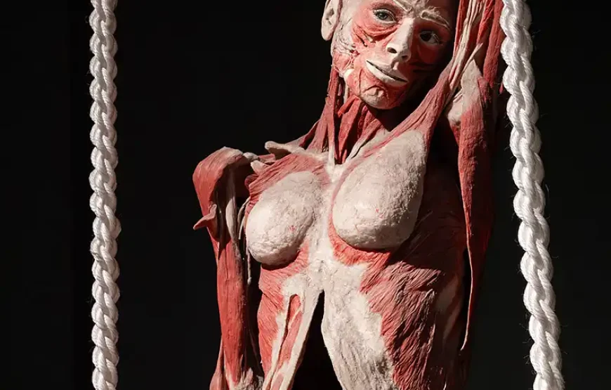 BODY WORLDS Amsterdam Open ticket