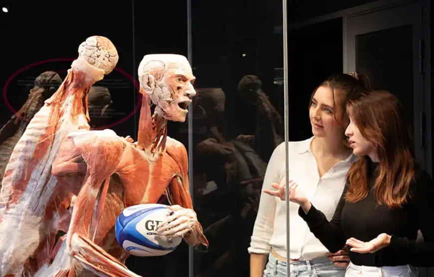 BODY WORLDS Amsterdam Open ticket