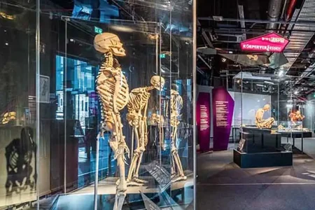 KÖRPERWELTEN – BODY WORLDS Berlin Bodyworlds Weekend