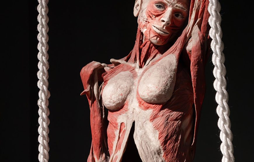 BODY WORLDS Amsterdam