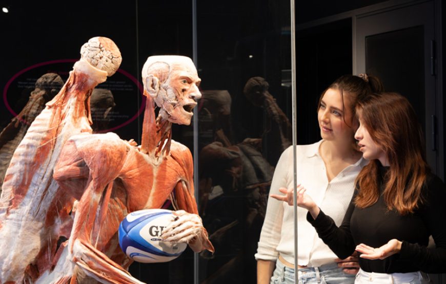 BODY WORLDS Amsterdam